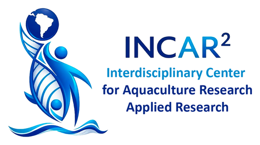 INCAR²