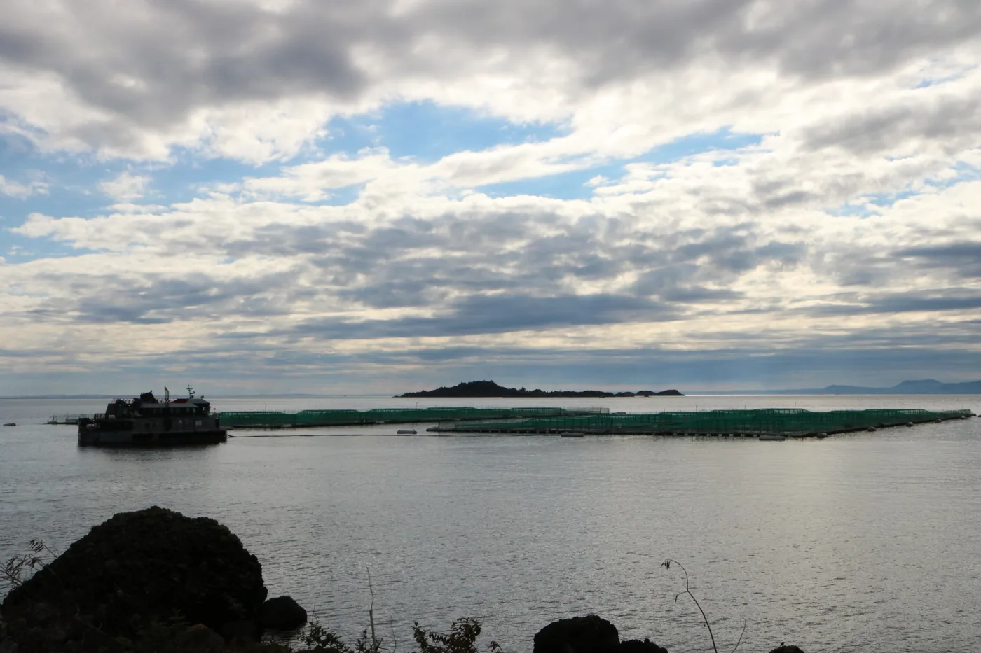 Farming site in a channel in southern Chile